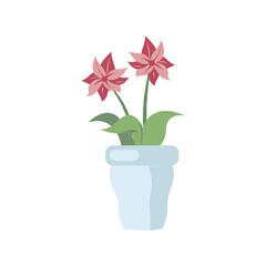 flowers in pots vector illustration
