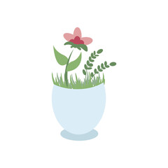 flowers in pots vector illustration