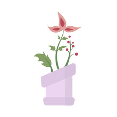 flowers in pots vector illustration