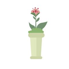 flowers in pots vector illustration