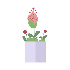 flowers in pots vector illustration