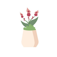 flowers in pots vector illustration