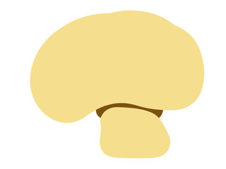かわいいキノコのマッシュルーム／手描きイラスト素材