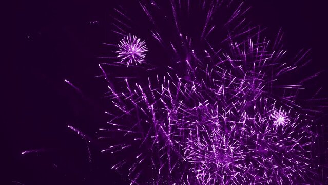 Beautiful firework in dark sky. The color is violet