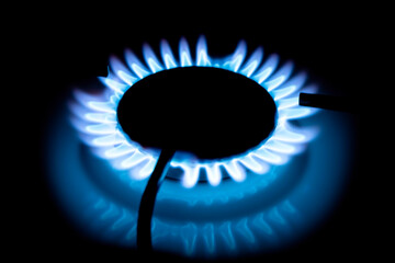 Gas cooker with burning fire propane gas. Blue flames on gas stove burner isolated on black...