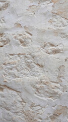 Gray Shabby Plaster Wall. Seamless Cement wall Abstract for background or Pattern. Vertical Banner