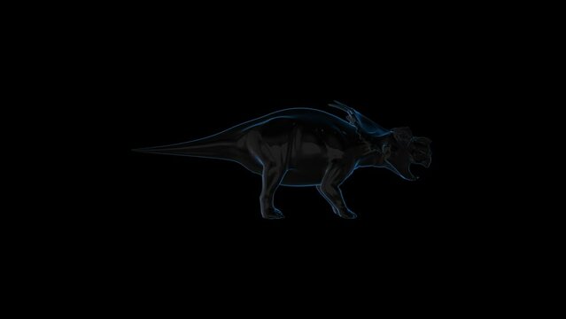 Dinosaur HUD 3D OPutline Transparent Alpha Video Animation