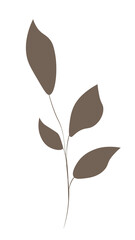 Set of leaves on PNG  White transparent background. Stock vector illustration.  05