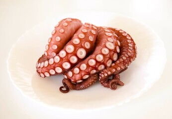 皿に載せた茹で蛸、ボイルしたタコ、蛸の足