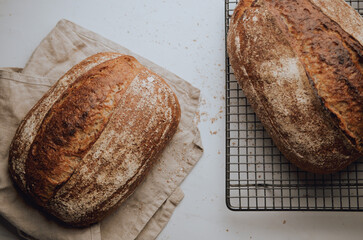Rustic sourdough wholewheat bread