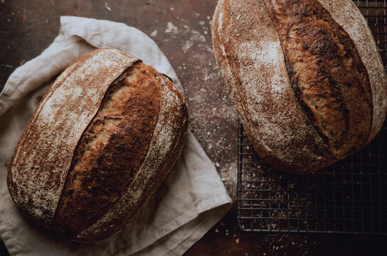 Rustic sourdough wholewheat bread