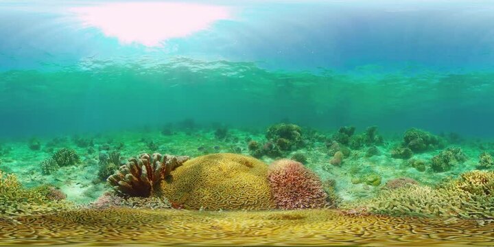 Underwater world with coral reef and tropical fishes. Travel vacation concept 360VR Video.