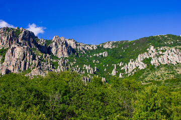 Fototapeta na wymiar Plateau, mountain with old rocks and a cliff with stones and large boulders, forest and grass on a slope against a bright blue sky and and forest in the foreground