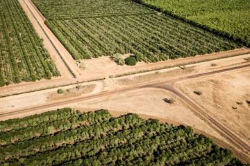 Foto op Plexiglas Roads dividing paddocks of trees Kununurra © Chris de Blank