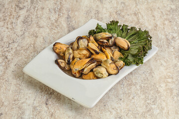 Tasty marinated mussels in the bowl