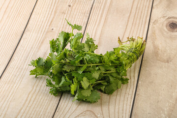 Green coriander leaves herb heap