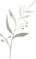 Watercolor leaf branch illustration