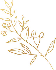 Gold leaf branch illustration