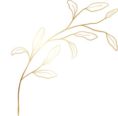 Gold leaf branch illustration