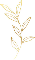 Gold leaf branch illustration