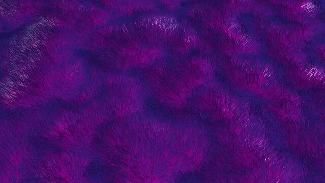 Abstract Blue Pink Fur Waving Background