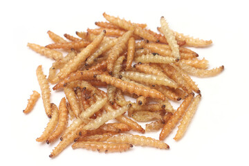 Fast food and snacks in Thailand fried worms