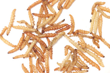 Fast food and snacks in Thailand fried worms