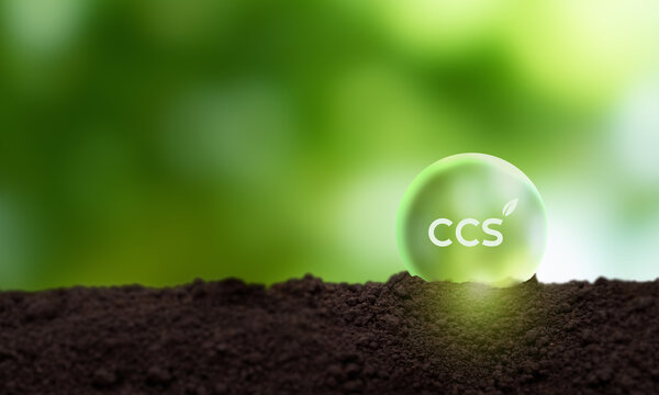 「Ccs」の写真素材 | 47,129件の無料イラスト画像 | Adobe Stock