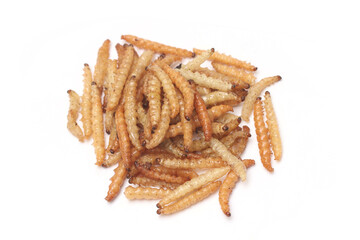 Fast food and snacks in Thailand fried worms