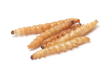 Fast food and snacks in Thailand fried worms