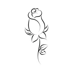 Rose Vector Image. Line Art Tattoo. Rose flower on white background for holiday or retro design
