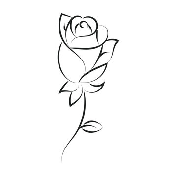 Rose Vector Image. Line Art Tattoo. Rose flower on white background for holiday or retro design

