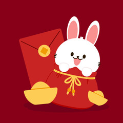 Chinese New Year Money pocket vector. Rabbit in Rad bag. Chinese money bag vector. Good luck. Year of rabbit. Chinese New Year 2023.