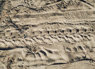 Wheel tracks of cars and bicycles on a dirt beige road made of sand. Texture top view.