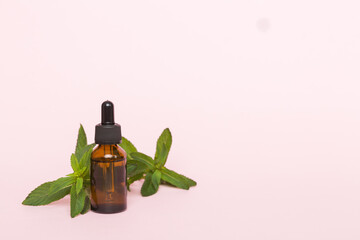 Natural Mint Essential Oil in a Glass Bottle. organic cosmetics with herbal extracts of mint on colored background