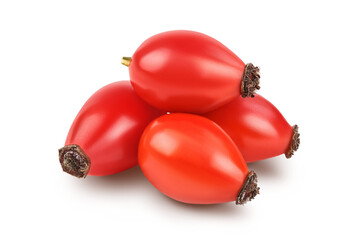 Rose hip isolated on a white background with full depth of field
