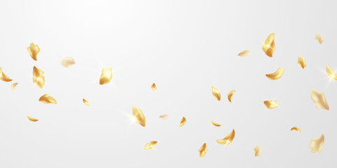 elegant golden flower petals design background vector illustration