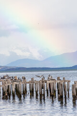 Puerto Natales Chile rainbow