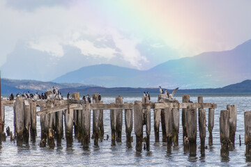 Puerto Natales Chile rainbow