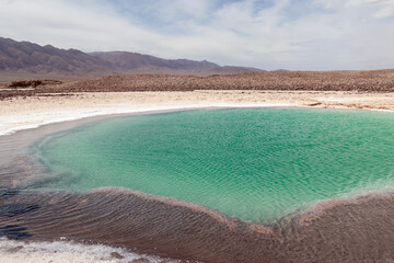 Baltinache Salty Lagoon Atacama Desert Chile