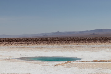 Baltinache Salty Lagoon Atacama Desert Chile