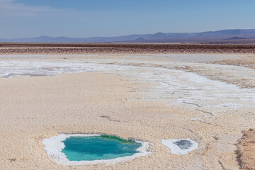 Baltinache Salty Lagoon Atacama Desert Chile
