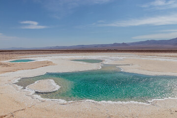 Baltinache Salty Lagoon Atacama Desert Chile