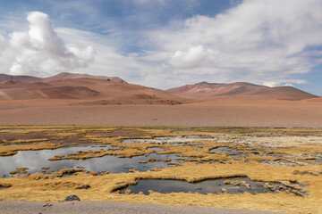 Quepiaco river wetland Atacama Desert Chile
