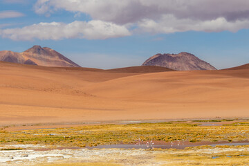 Quepiaco river wetland Atacama Desert Chile