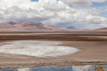 Quepiaco river wetland Atacama Desert Chile