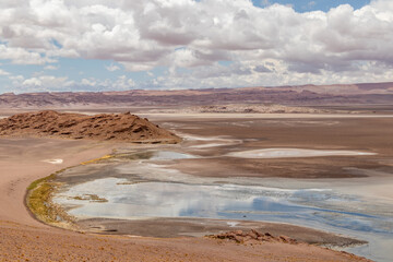 Quepiaco river wetland Atacama Desert Chile