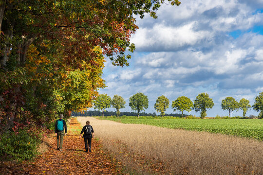 Sunny autumn landscape in Borger Odoorn region in Drenthe in The Netherlands