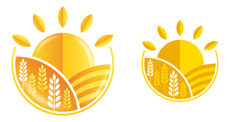 Abstract sunny pattern with wheat fields spikes