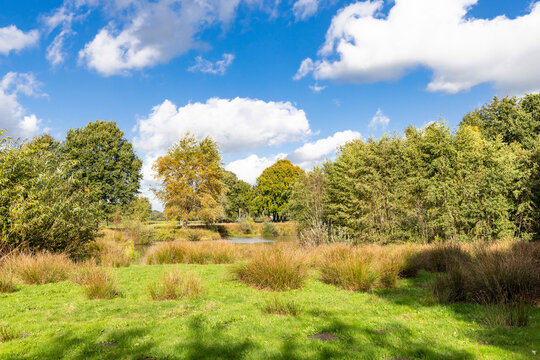 Sunny autumn landscape of natural park with pond in Borger in Drenthe in The Netherlands
